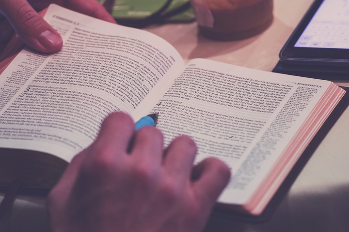 Journal Revision